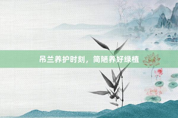 吊兰养护时刻，简陋养好绿植